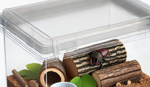 クワガタの飼育ケースおすすめ　最適な環境で育てるためのベストチョイス